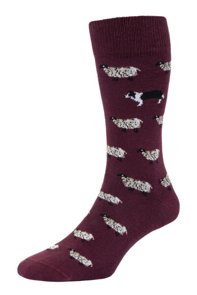 HJ Hall Men's Sheep & Dog Motif Cotton Socks in Burgundy