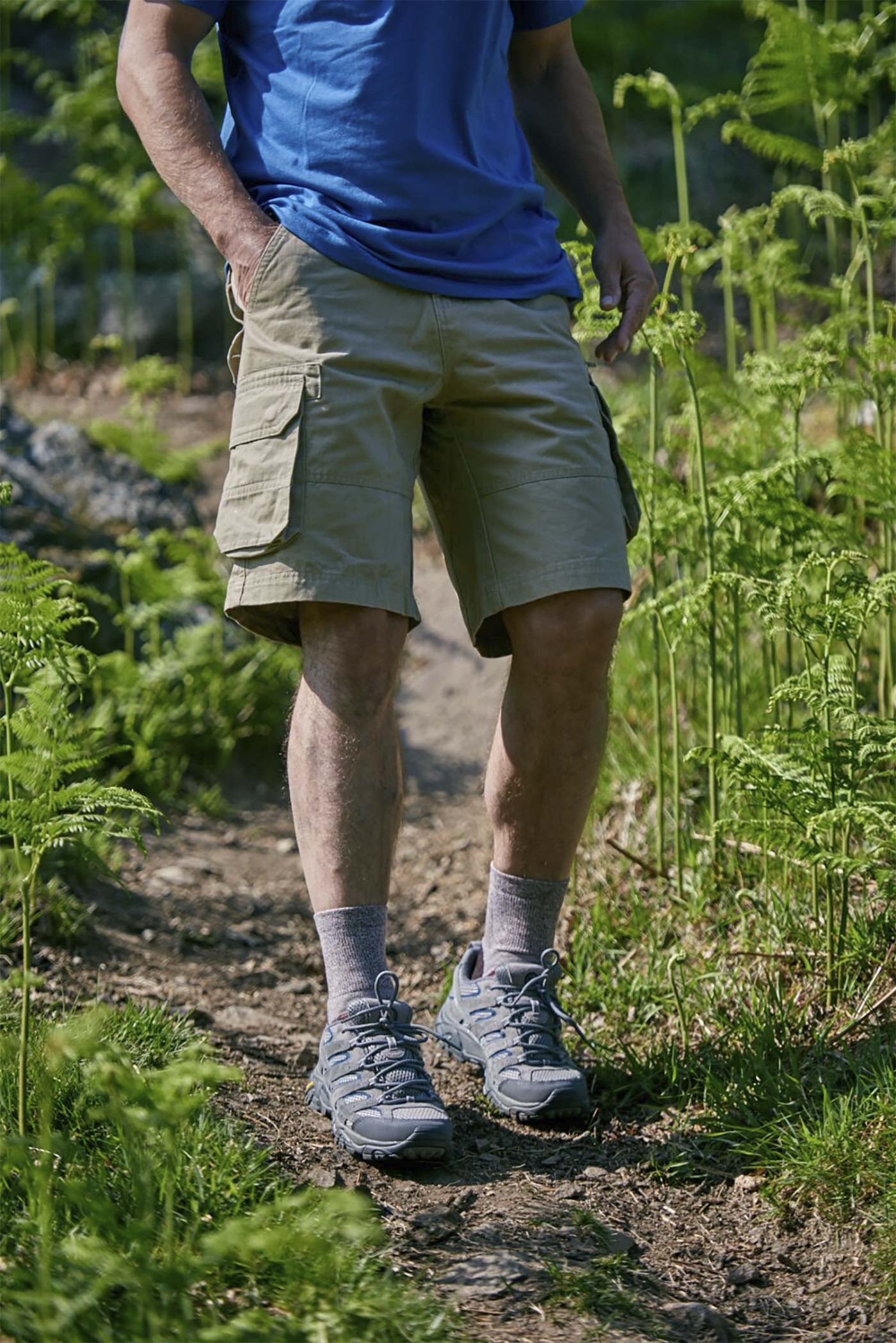HJ Hall ProTrek Light Hike Cotton Socks – alternate view