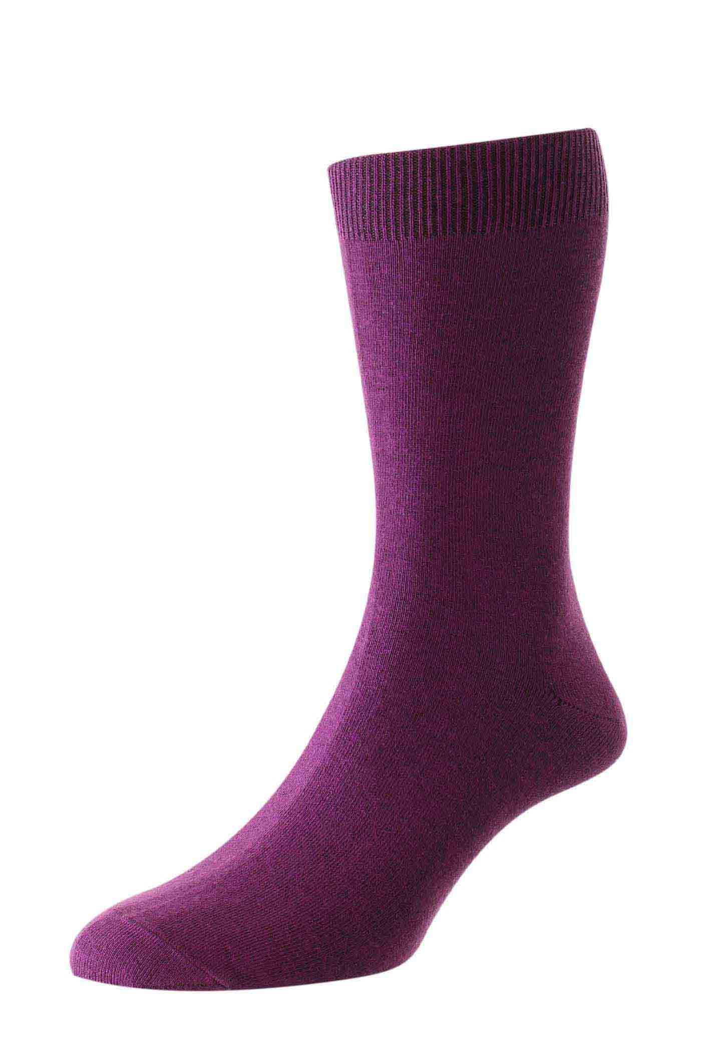 HJ Hall Men's Plain Bright Colour Cotton Socks in Plum